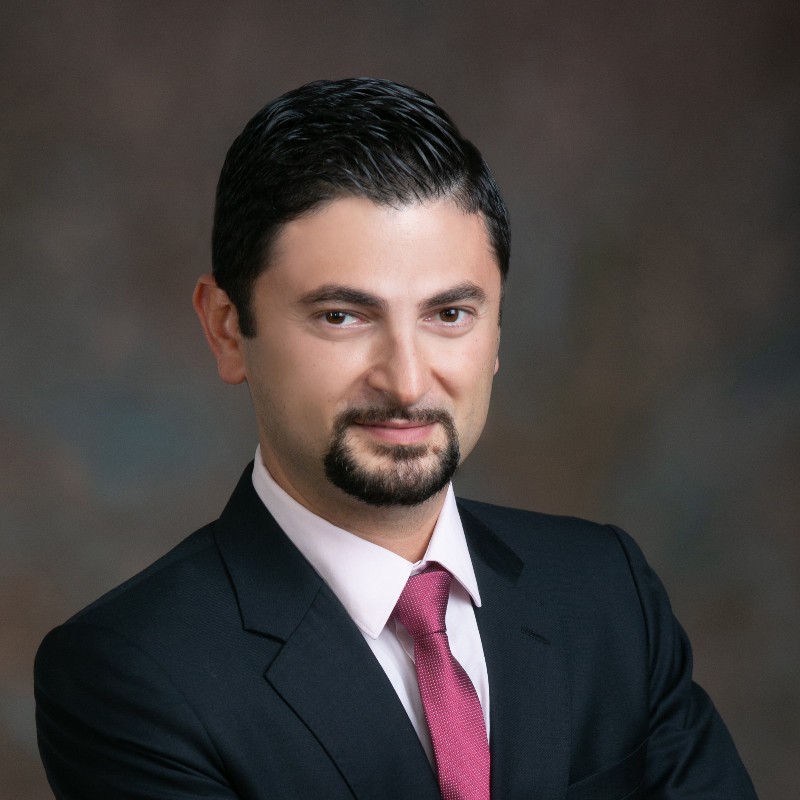 Gennady Litvin
