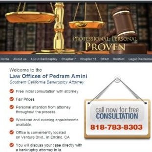 Pedram Amini