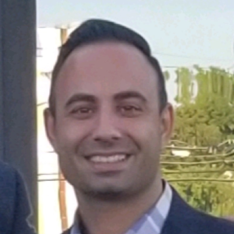 Robert Hanna