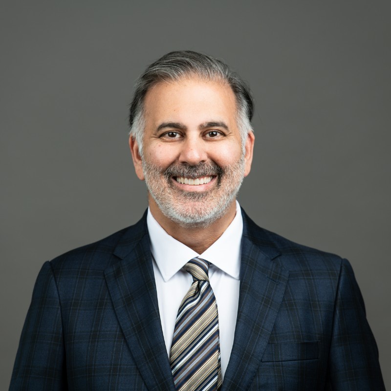 Amir Alavi