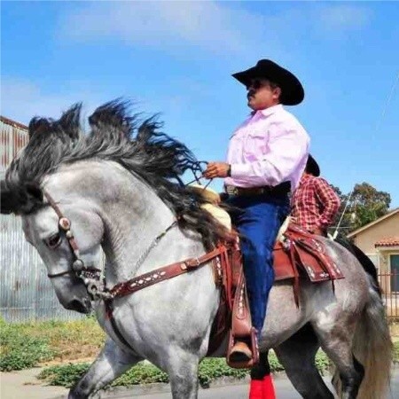 Jose A Velasquez